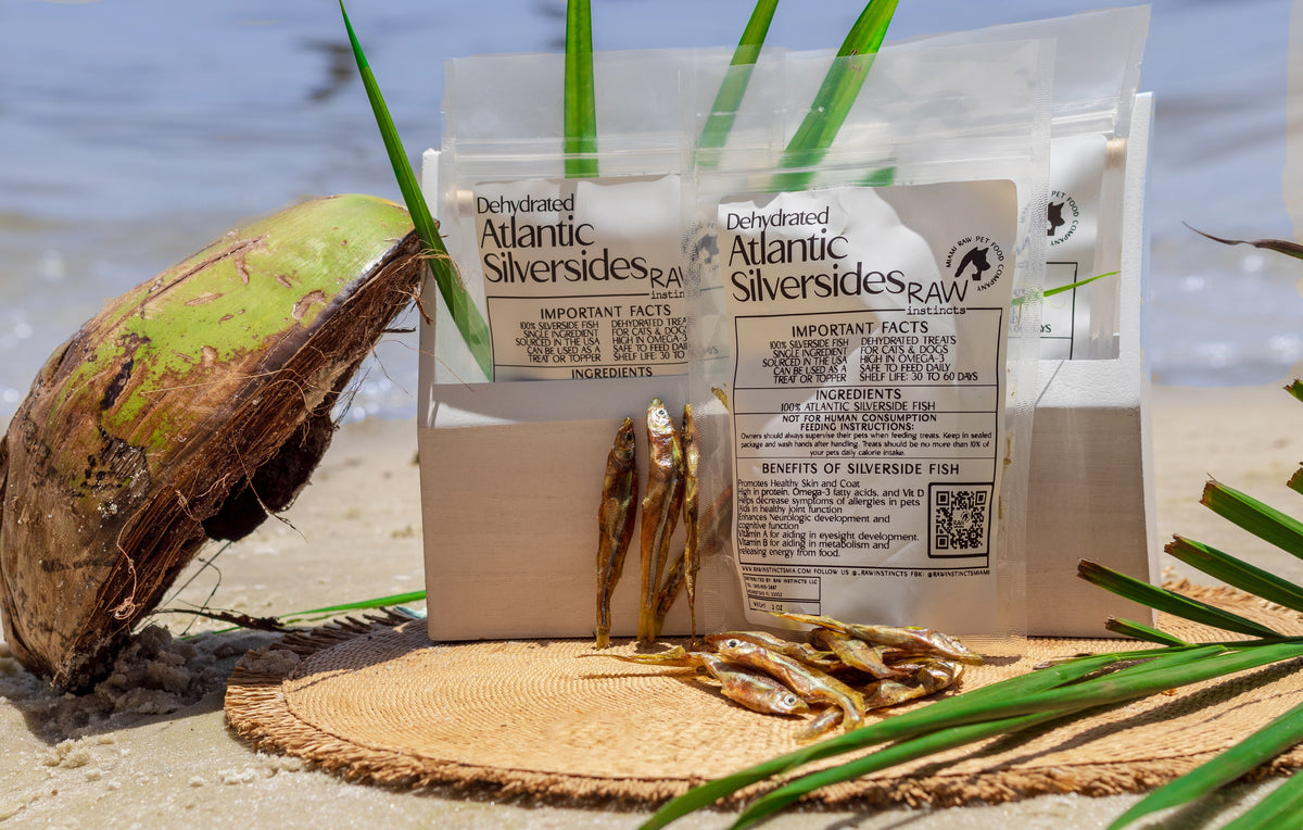 Dehydrated Atlantic silverside fish treat bags with dried fish on sandy surface