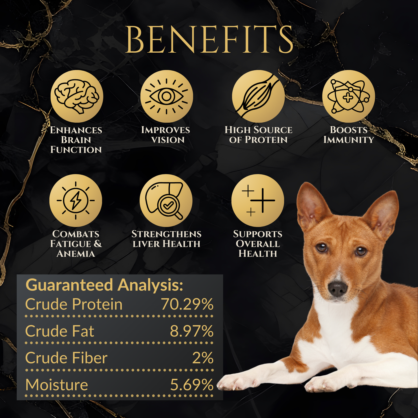 Freeze-dried beef liver dog treats benefits graphic with dog illustration