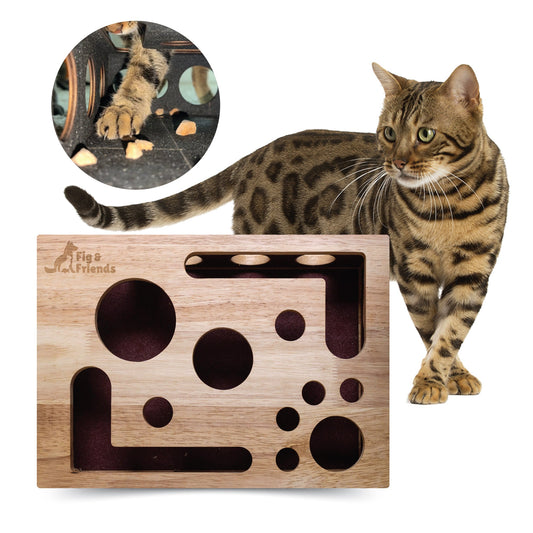 Wooden cat nail file enrichment box puzzle with tabby cat beside it