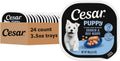 Cesar Puppy wet dog food tray pack, 24 count 3.5 oz, Chicken & Beef recipe