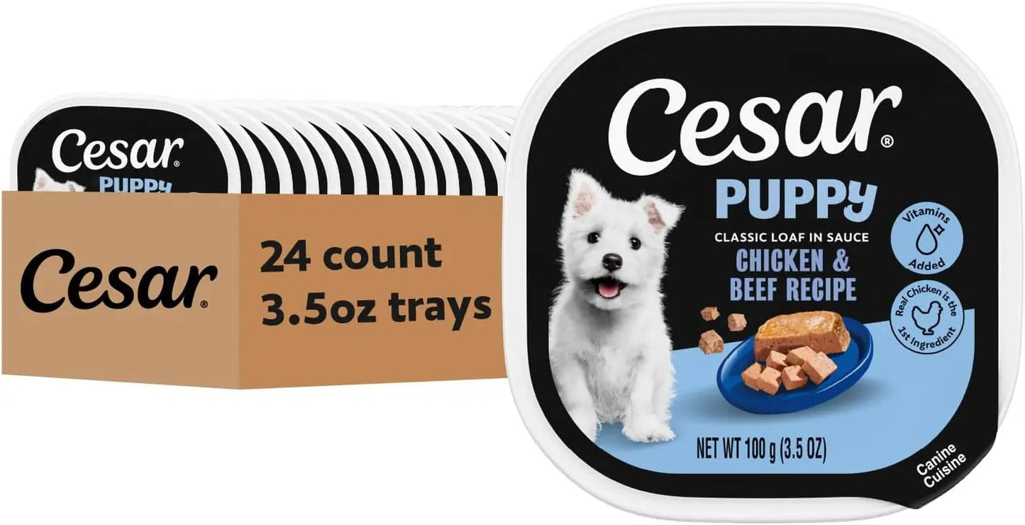 Cesar Puppy wet dog food tray pack, 24 count 3.5 oz, Chicken & Beef recipe