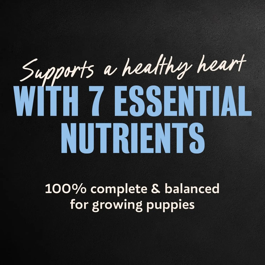Cesar Puppy wet dog food tray pack featuring essential nutrients and balanced formula