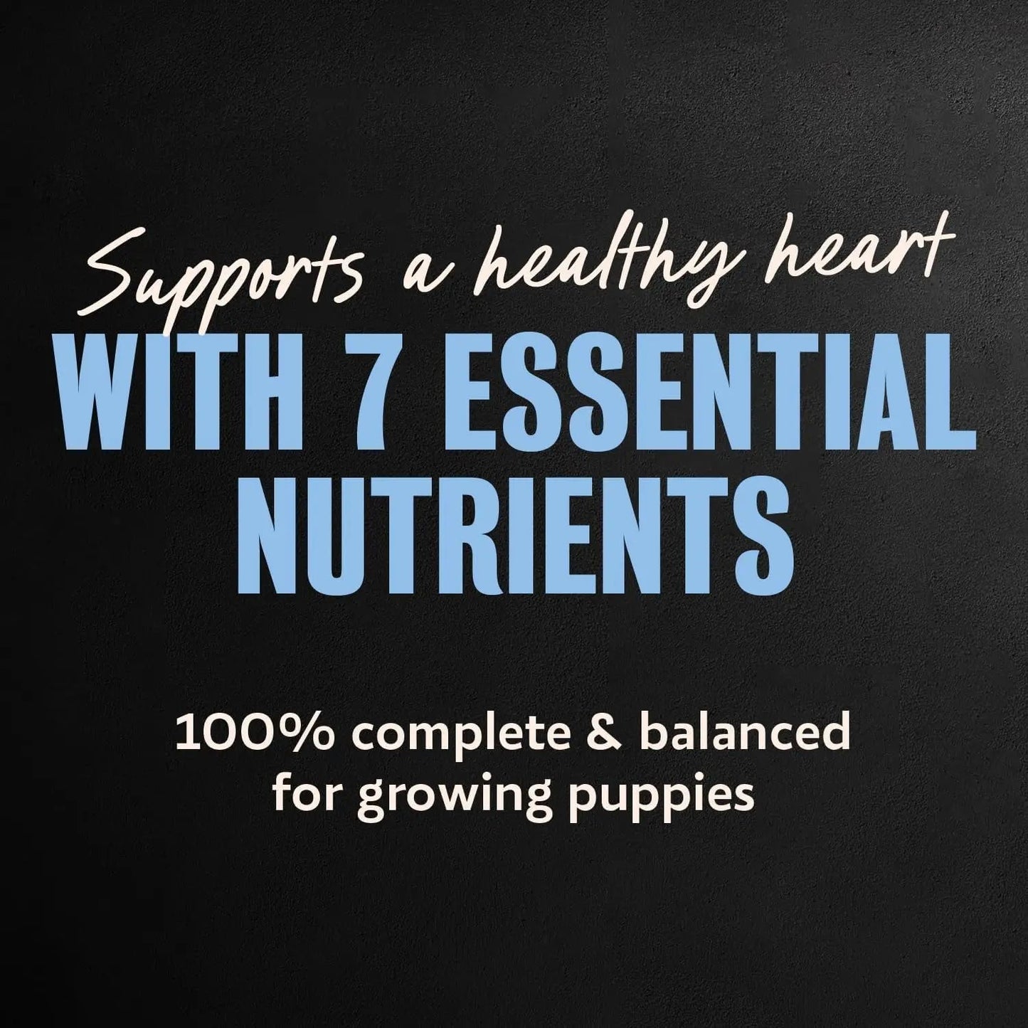 Cesar Puppy wet dog food tray pack featuring essential nutrients and balanced formula