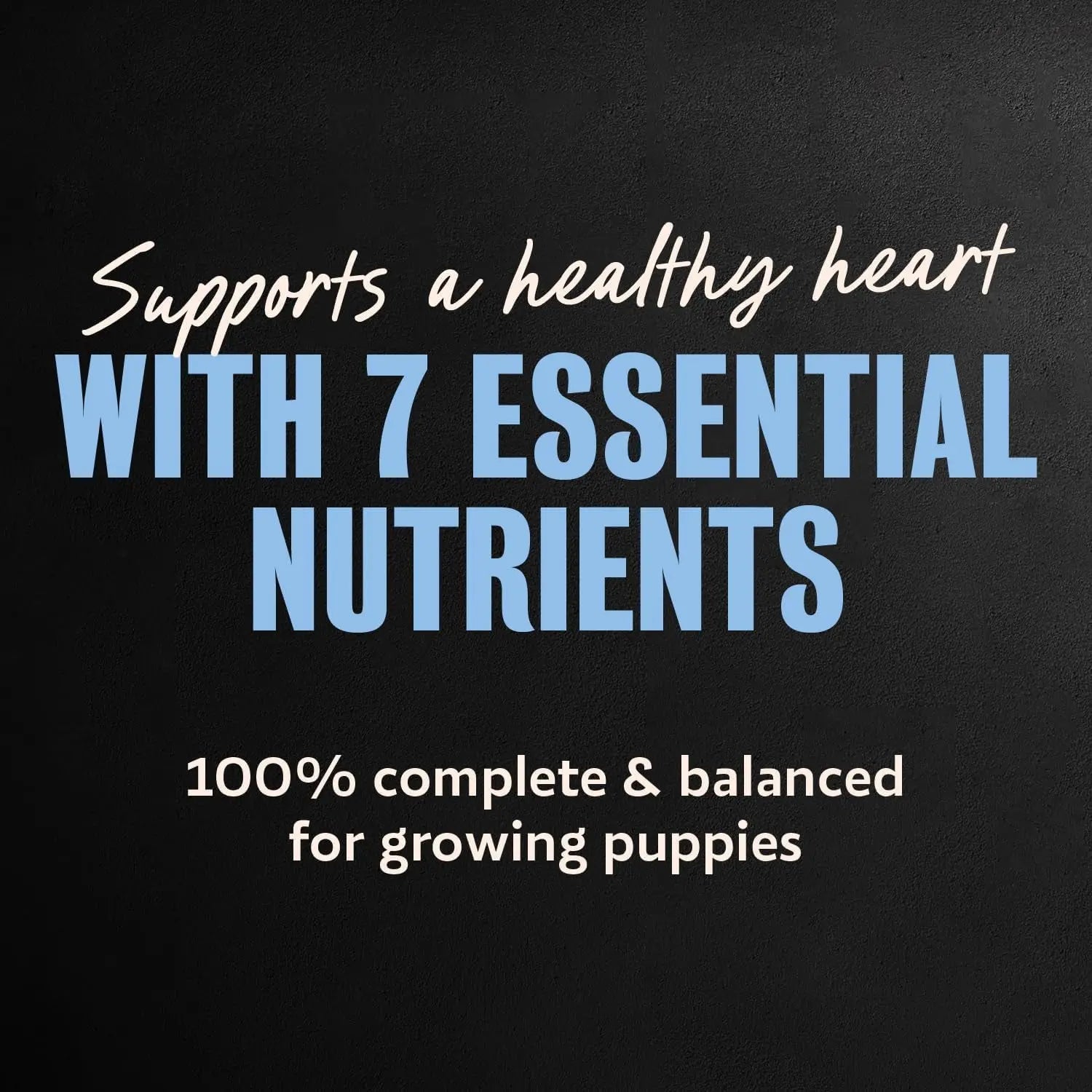 Cesar Puppy wet dog food tray pack featuring essential nutrients and balanced formula