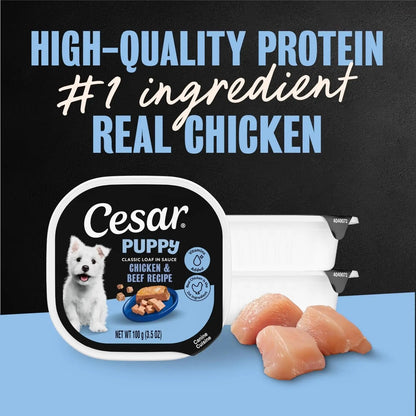Cesar Puppy wet dog food tray pack with real chicken recipe and meat pieces