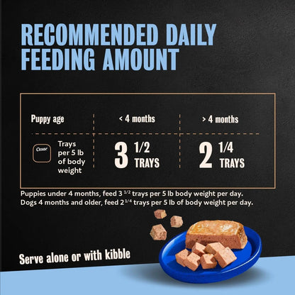 Cesar Puppy wet dog food tray pack with daily feeding amount guide