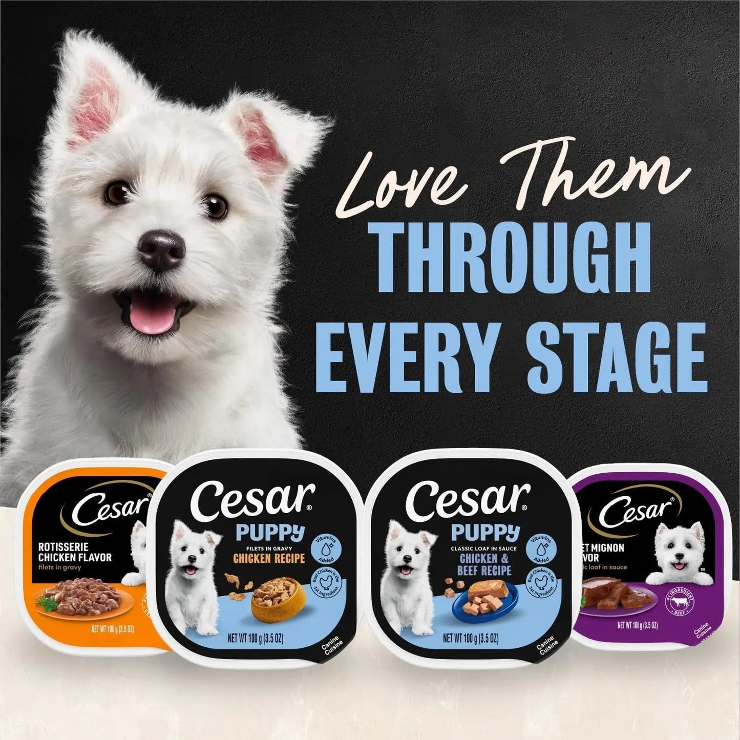 Cesar Puppy wet dog food tray pack row of flavors for every stage