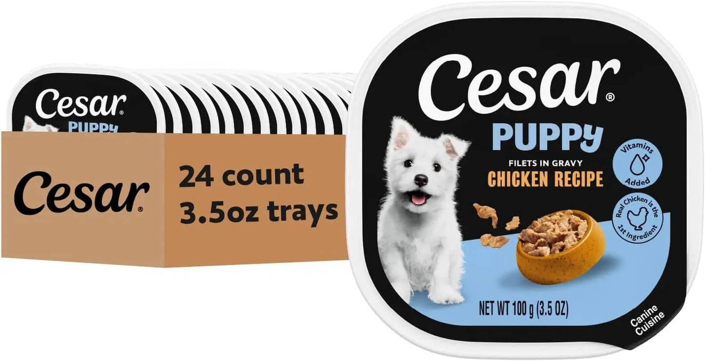 Cesar Puppy wet dog food tray pack, 24 count 3.5 oz, Chicken recipe