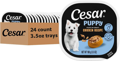 Cesar Puppy wet dog food tray pack, 24 count 3.5 oz, Chicken recipe