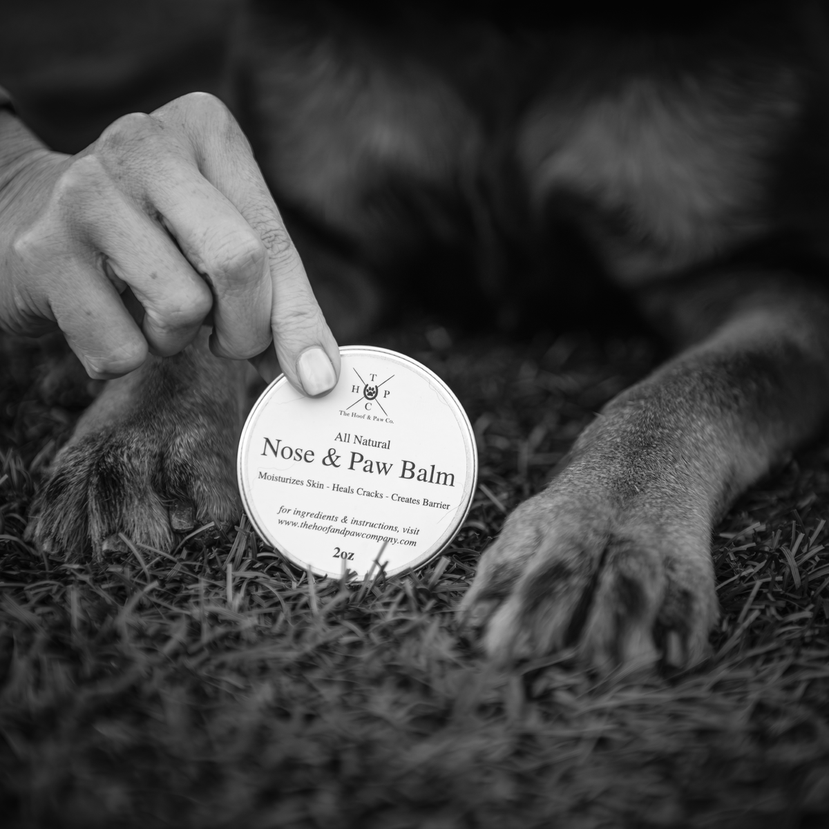 2 oz nose & paw balm tin held near a dog’s paw on grass