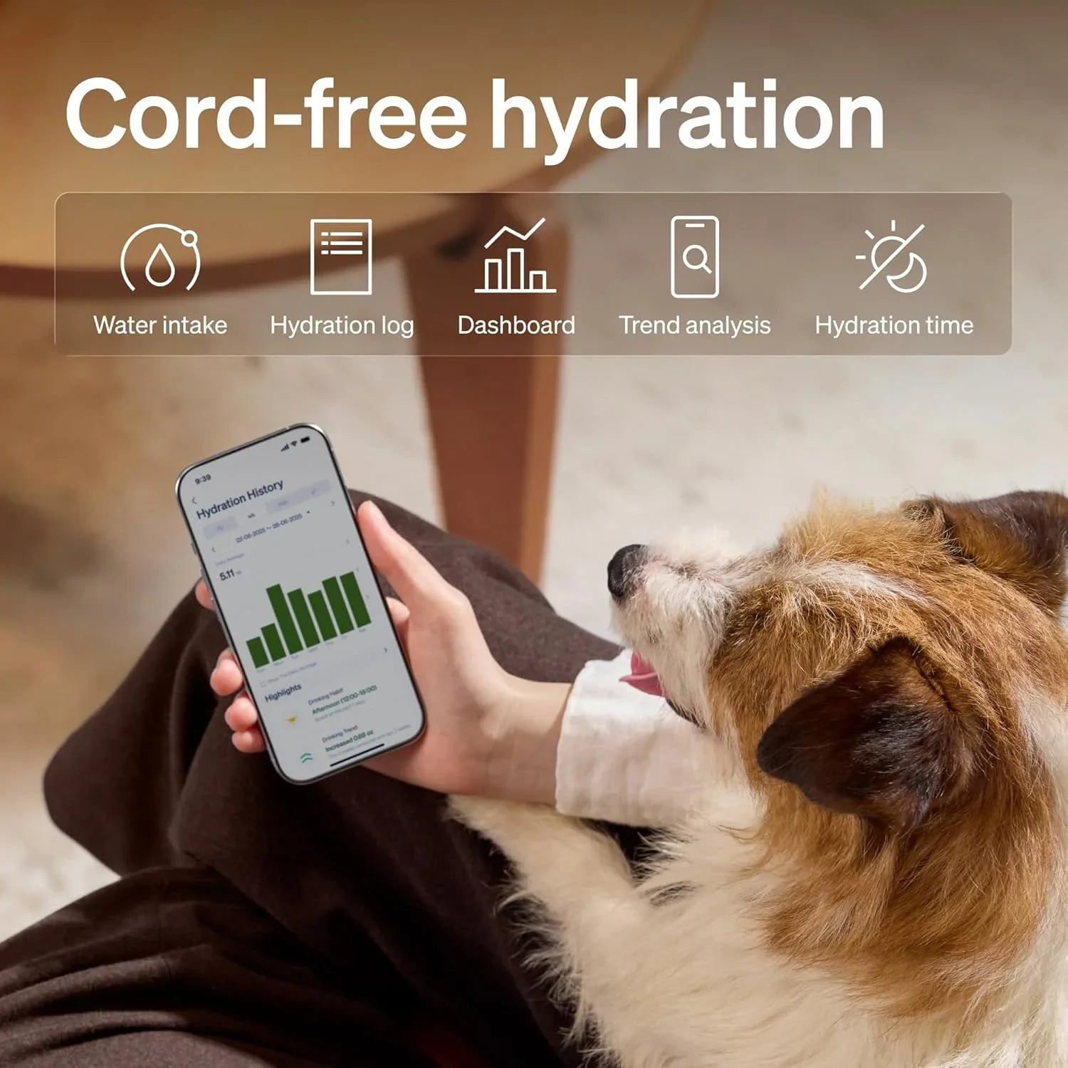 White automatic pet water fountain; dog drinking while a smartphone app displays hydration.