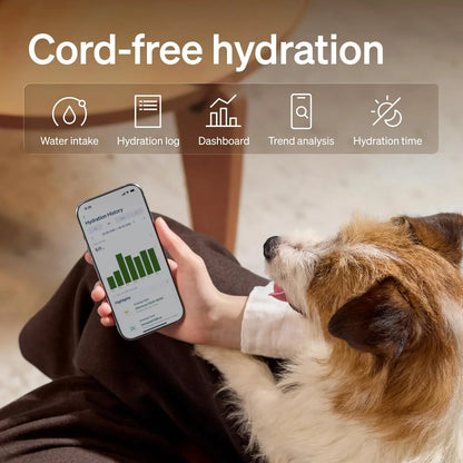 White automatic pet water fountain; dog drinking while a smartphone app displays hydration.