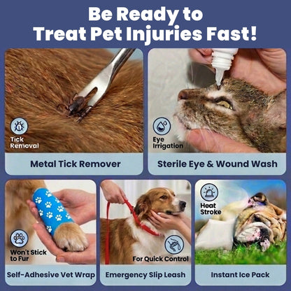 Pet first aid kit essentials: tick remover, eye wash, vet wrap, slip leash, ice pack