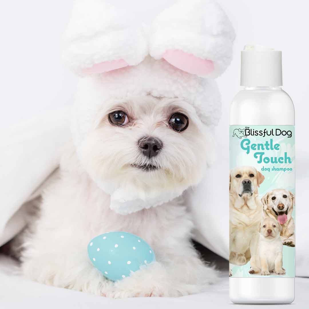 Dog shampoo bottle with front label, shown with a fluffy, white-dog head covering