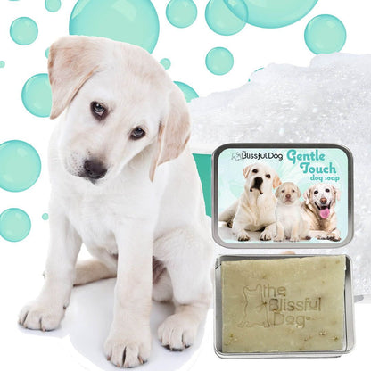 Dog shampoo bottle and bar soap in metal tin, shown with a light-colored puppy
