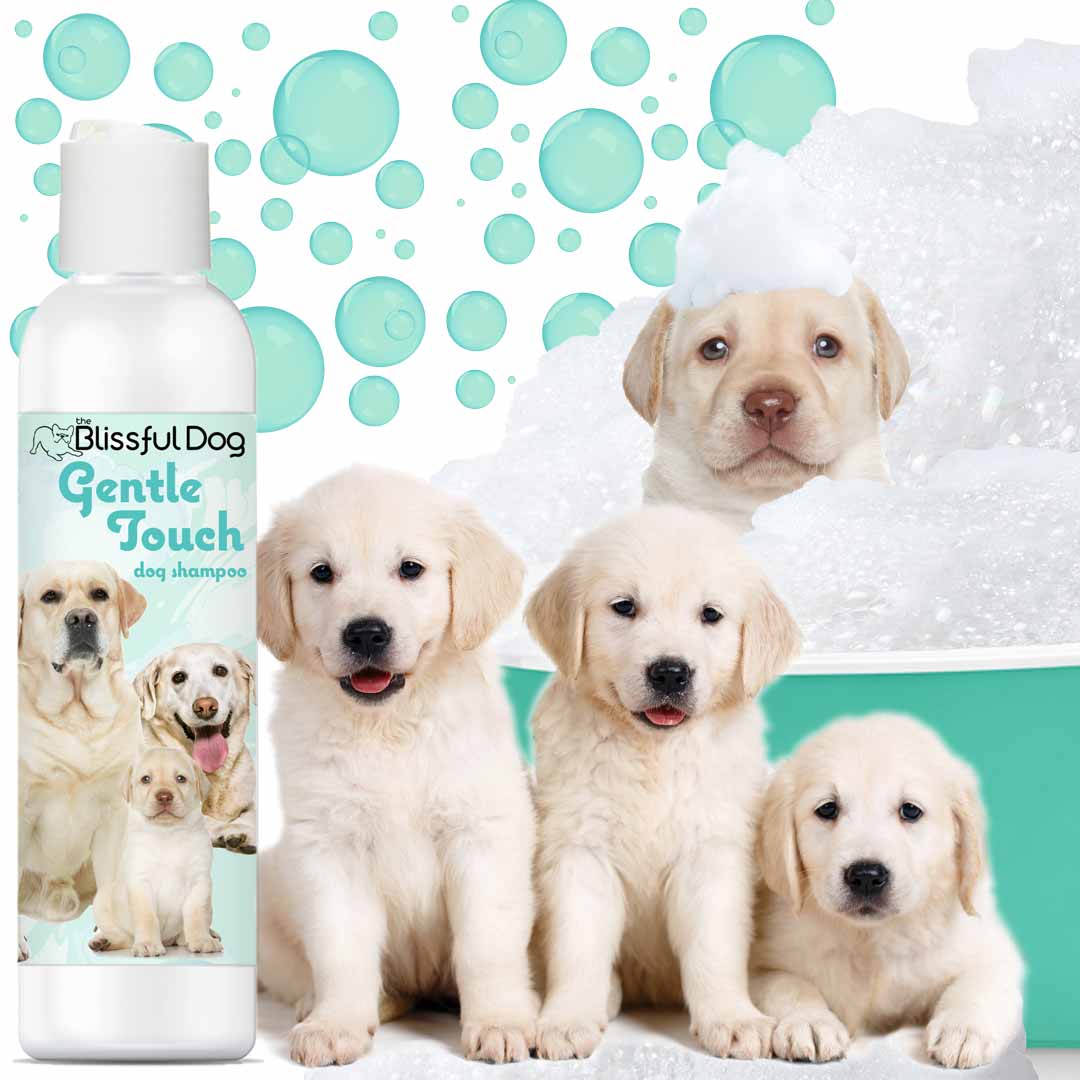 Dog shampoo bottle with front label, shown with several light-colored puppies