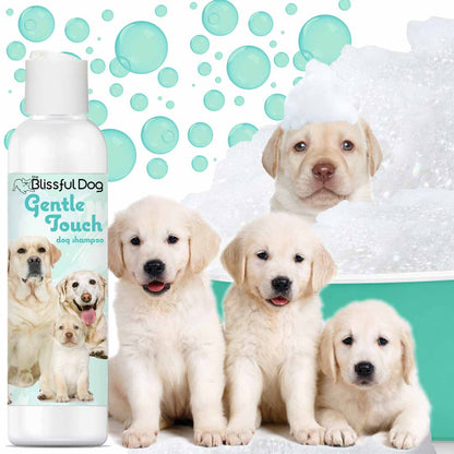 Dog shampoo bottle with front label, shown with several light-colored puppies