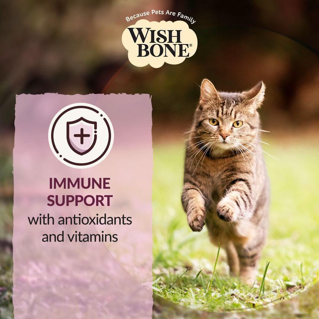 Wishbone cat dry food bag with immune support text and brown tabby cat