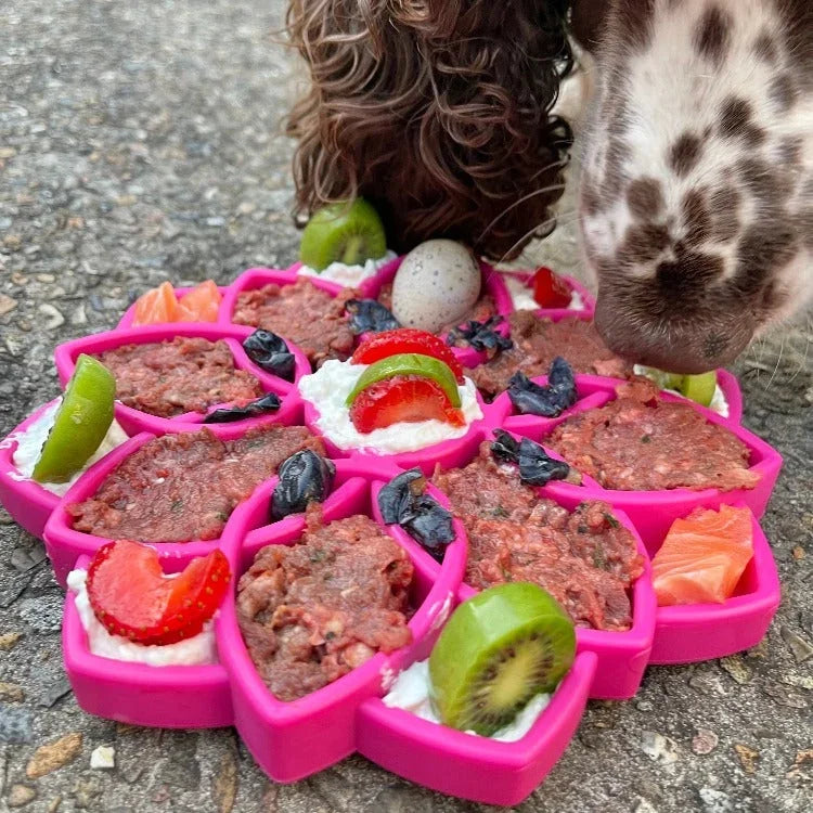 Slow feeder dog bowl with pink compartments holding wet food and fruit