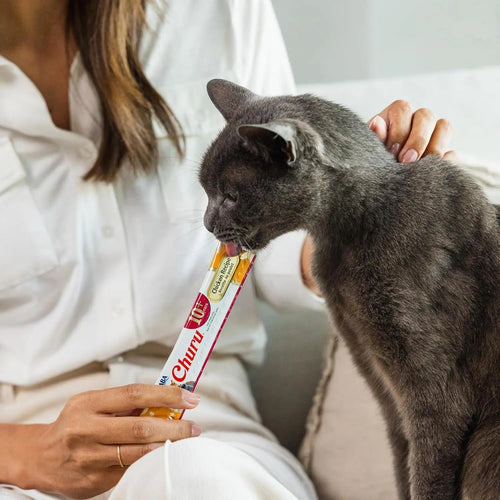 Churu lickable senior cat treat being offered to a gray cat