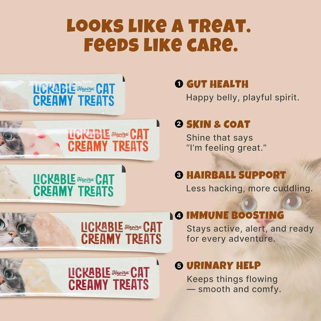Salmon omega-3 lickable cat creamy treat squeeze pouches