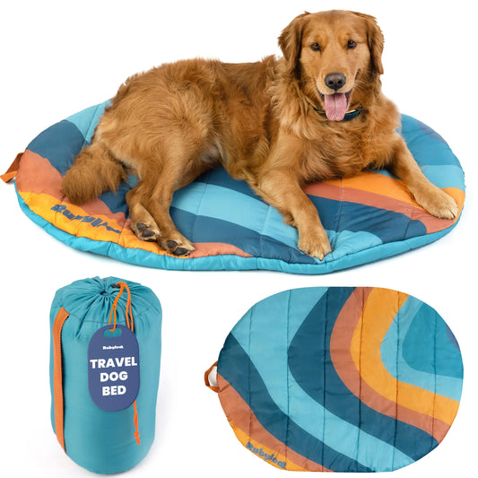 Foldable travel dog bed with teal and blue striped cushion, large circular shape