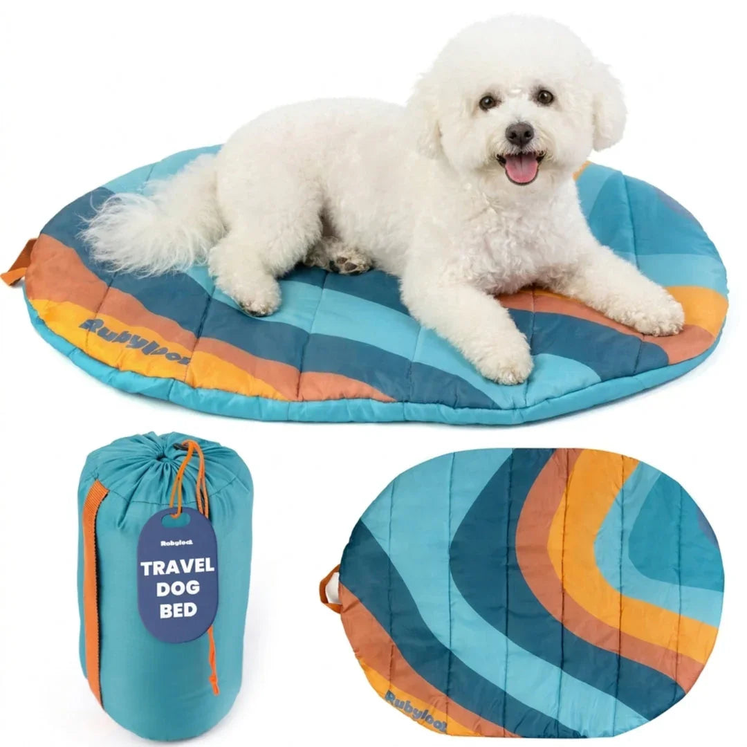 Travel dog bed with teal and orange striped round mat and matching compact carry bag