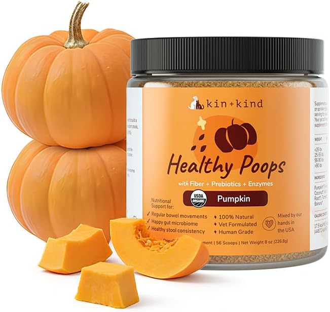 Probiotic pumpkin powder supplement jar with black lid and pumpkin pieces, 8 oz