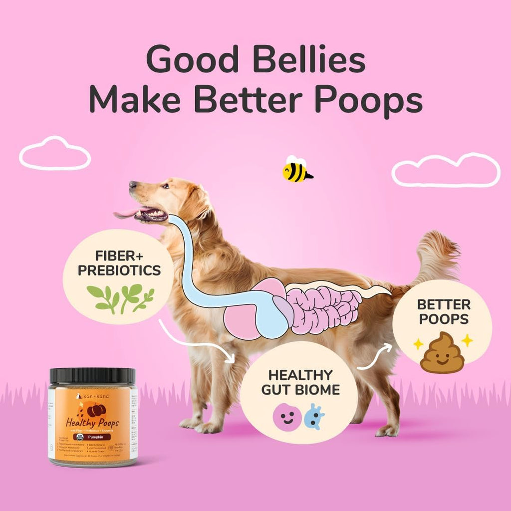 Probiotic pumpkin powder supplement jar shown with dog digestive health infographic