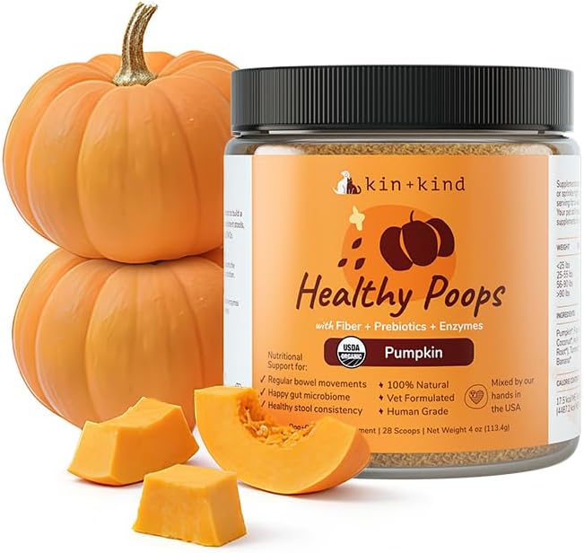 Probiotic pumpkin powder supplement jar with black lid and pumpkin pieces, 8 oz