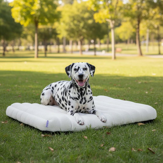 Waterproof plush dog mat, white/cream with raised edge and smooth surface