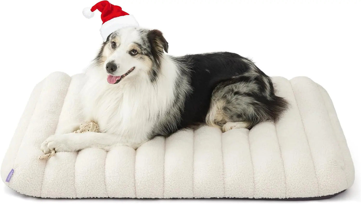 Orthopedic dog bed with plush cover in light cream, shown with a black-and-white dog