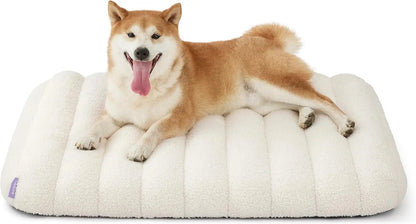 Orthopedic dog bed in light cream plush with a tan dog resting on top