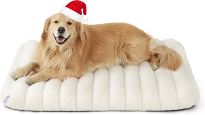 Orthopedic dog bed in light cream plush with a golden dog lying on the bed