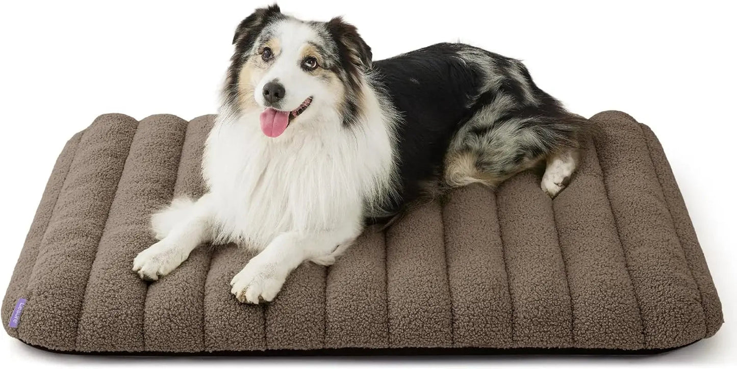 Orthopedic dog bed with dark brown/grey quilted plush cover, with a black-and-white dog