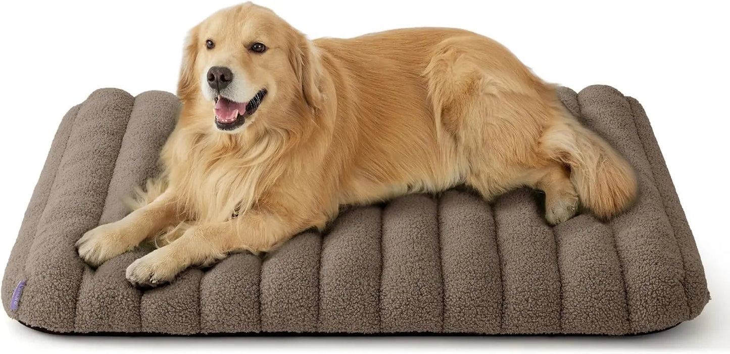 Orthopedic dog bed in dark brown/grey plush with a golden dog lying down