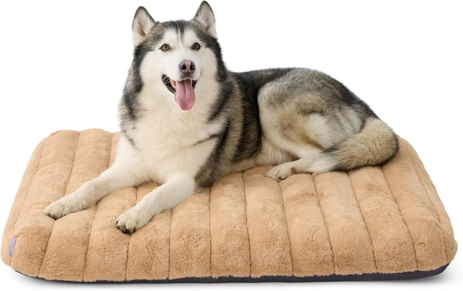 Orthopedic dog bed, beige plush with curved bolsters and quilted center channels