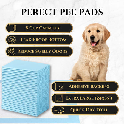 Absorbent puppy pee pads with stacked light blue pads and adhesive backing