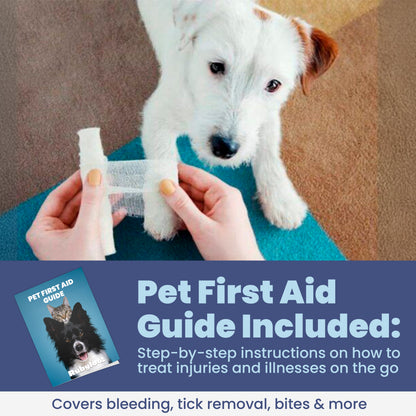 Dog paw wrapped with gauze; pet first aid guide included on card