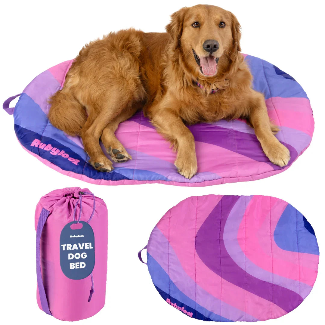 Travel dog bed with pink and purple striped cushion and foldable carry bag