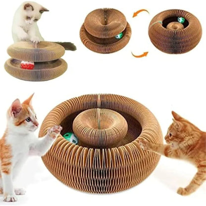 Cat using circular accordion scratcher, with ball toy inside the center tunnel