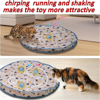Interactive cat rolling ball play mat with track design for indoor floor play