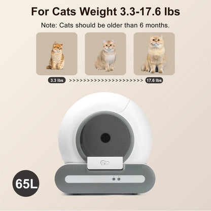 White automatic cat litter box for cats 3.3–17.6 lb with front opening
