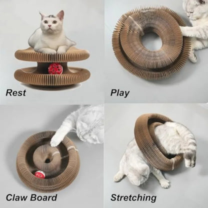 Accordion cat scratcher with ball, cat shown resting, playing, clawing, and stretching