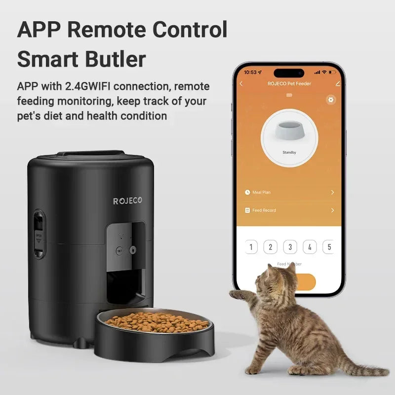 Smart pet feeder with app control, WiFi, and cat eating from bowl