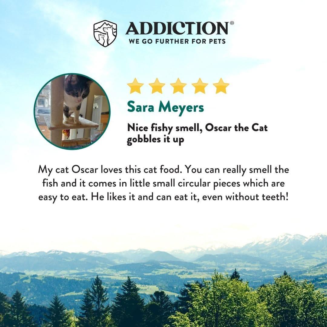 Salmon Bleu dry cat food customer review promotional graphic with cat