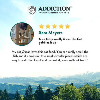 Salmon Bleu dry cat food customer review promotional graphic with cat