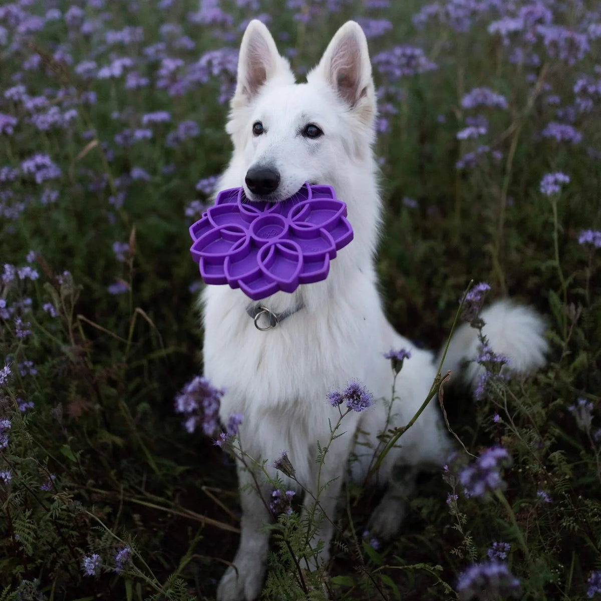 Purple slow feeder dog bowl with flower-shaped enrichment puzzle