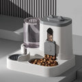 Spill-Proof Pet Feeder & Water Bowl