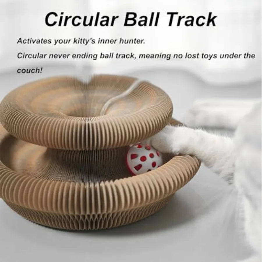 Circular accordion cat scratcher with ball rolling along the enclosed track